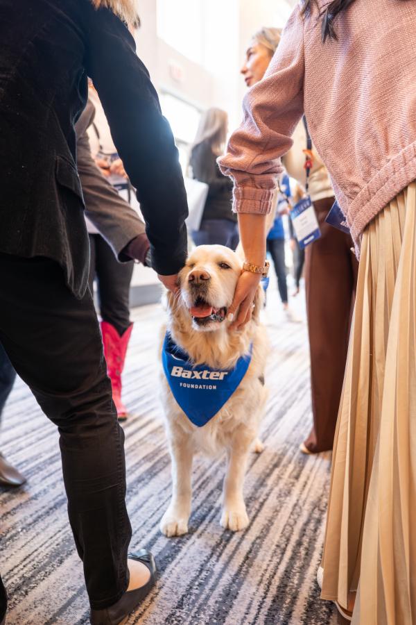 Pet Partners therapy dog being pet by Baxter employees